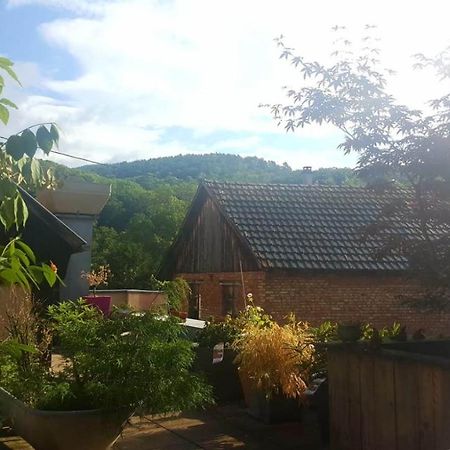 Spacieux Appartement Dans Le Centre De Munster Munster  Kültér fotó