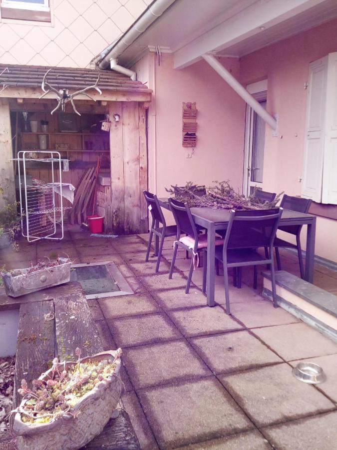 Spacieux Appartement Dans Le Centre De Munster Munster  Kültér fotó