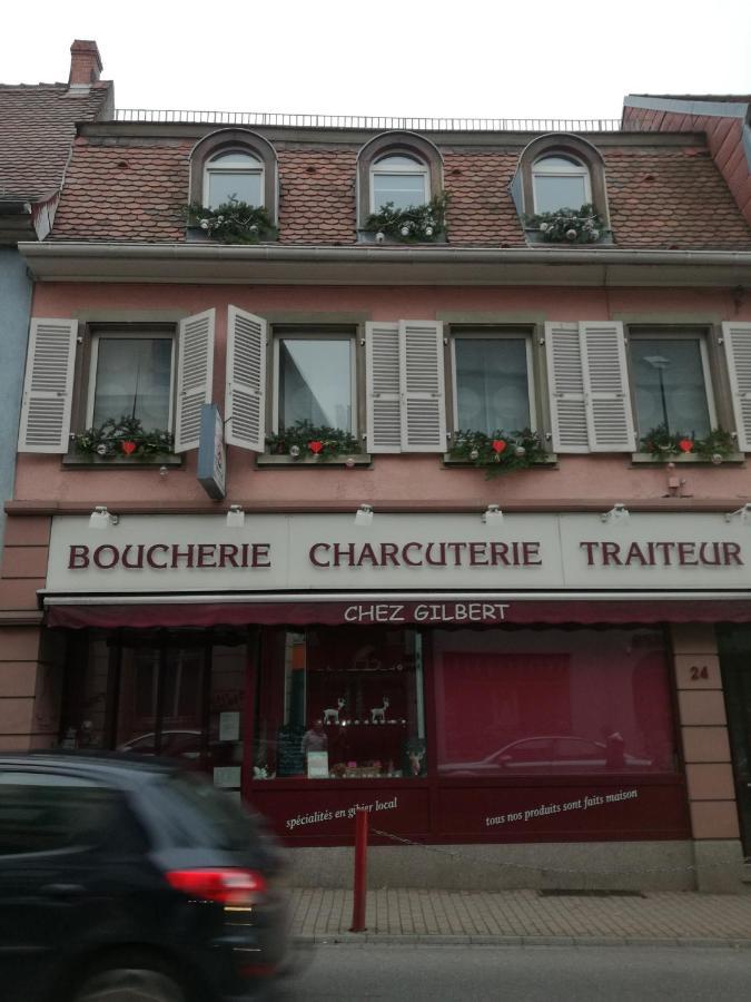 Spacieux Appartement Dans Le Centre De Munster Munster  Kültér fotó